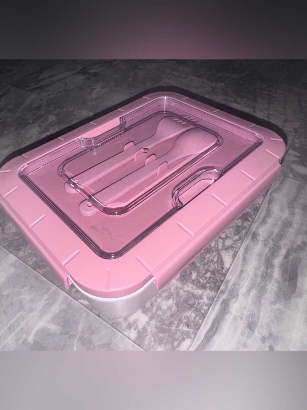Pink 3-Compartment Bento Lunch Box with Utensils
